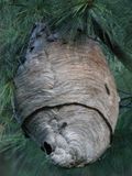 22 Things Are Buzzing