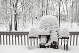 A Cold Christmas Morning