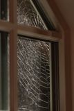 11 Winter Web