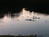 Evening Patrol Reporting