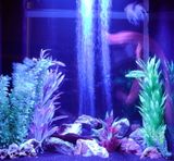 13 Speedish Fish (Pintura de Pescado)