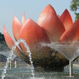 226 Lotus.JPG