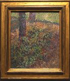 023 Sous-bois - Vincent van Gogh (1853-1890)JPG