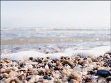 Foamy Sea