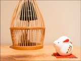 Rabbit and Cage