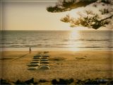 Walking on the Beach
