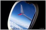 Flying Home