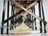 Under the Pier