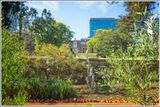 Government House Gardens