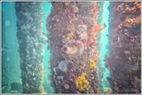 Underwater