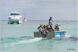 Marine Safari