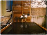 Outdoor Hot Spring Bath