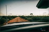 Dirt Road