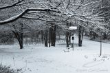 11/16/2022 - LRM-160548.jpg