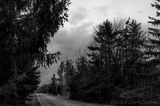 01/06/2023 - _42A8330.jpg