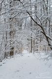 01/14/2023 - LRM-121939.jpg