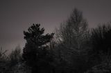 01/22/2023 - LRM-182847.jpg