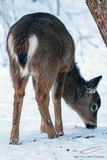 01/24/2023 - _42A8407.jpg