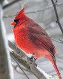 01/25/2023 - _42A8422.jpg