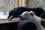 01/29/2023 - _42A8437.jpg