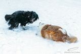 01/30/2023 - _42A8480.jpg