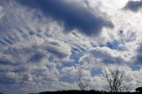 02/26/2023 - LRM-131013.jpg