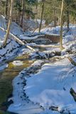 03/16/2023 - LRM-111137.jpg