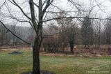 03/27/2023 - LRM-184627.jpg