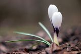 04/04/2023 - _42A9056.jpg