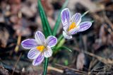 04/05/2023 - _42A9060.jpg