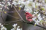 04/22/2023 - _42A9250.jpg