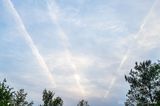 05/19/2023 - LRM-202224.jpg