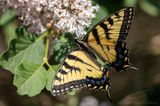 06/04/2023 - _42A0209.jpg
