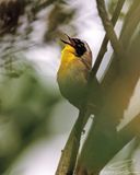 06/05/2023 - _42A0245.jpg