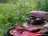IMAG0332.jpg