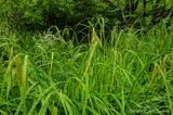 06/12/2023 - LRM-094101.jpg