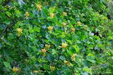 06/14/2023 - _42A0379.jpg