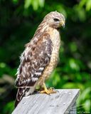 06/17/2023 - _42A0026.jpg