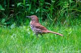 06/22/2023 - _42A0487.jpg