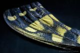 06/26/2023 - _42A0506.jpg