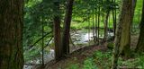 06/27/2023 - LRM-150919.jpg