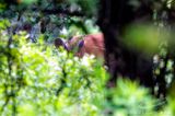 06/28/2023 - _42A0535.jpg