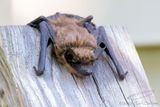 07/14/2023 - _42A0974.jpg