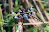 07/16/2023 - _42A1088.jpg