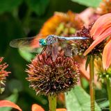07/30/2023 - _42A1649.jpg