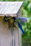07/31/2023 - _42A1662.jpg