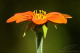 09/28/2023 - _42A3678.jpg