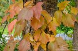 09/29/2023 - LRM-130609.jpg