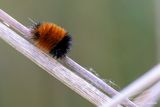 10/05/2023 - _42A3753.jpg