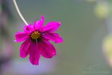 10/09/2023 - _42A3777.jpg